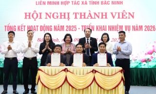 Đẩy mạnh chuyển đổi số, nâng cao hiệu quả hoạt động hợp tác xã